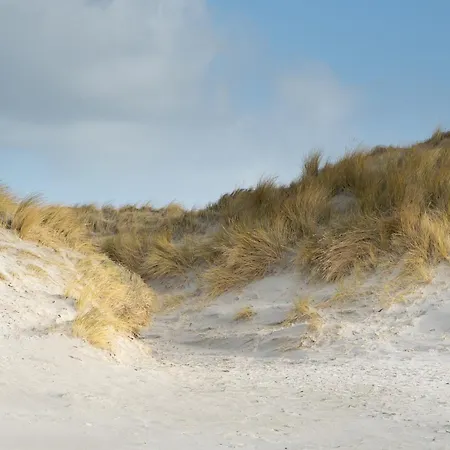 Alte Schule Broesum 베스테르헤버