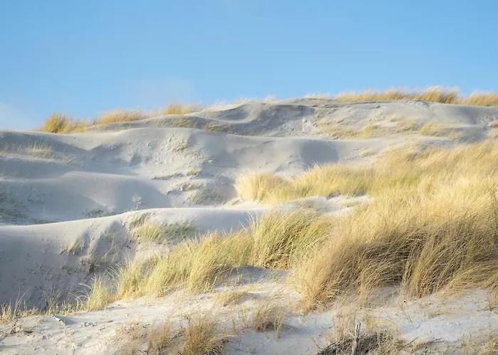 Alte Schule Broesum Вестерхевер