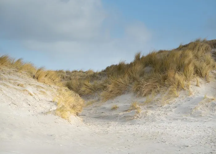 Alte Schule Broesum Вестерхевер